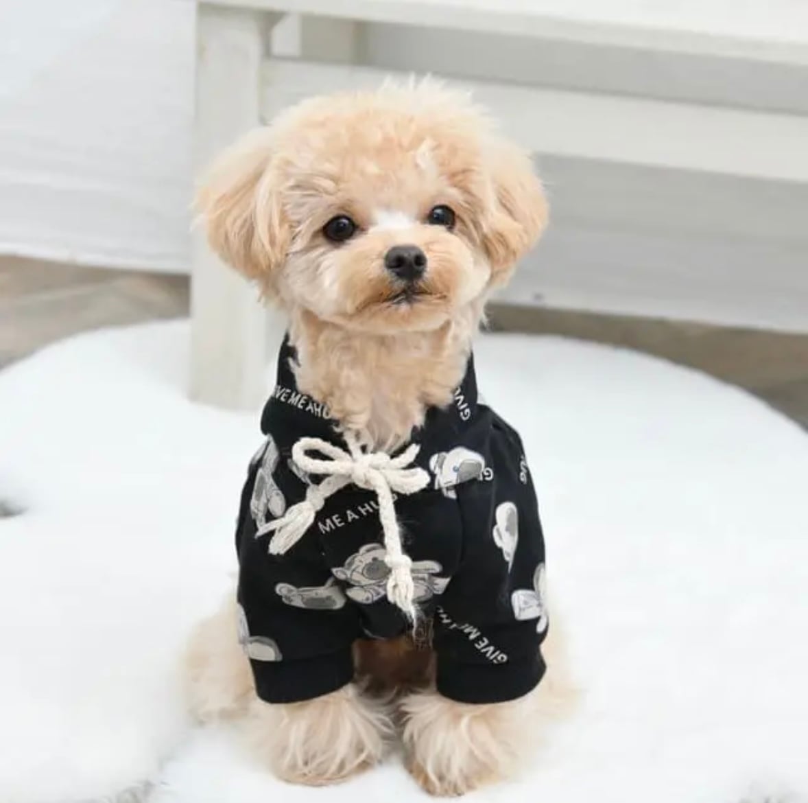 犬服 SS わんこの普段着　ミモザ ミモザワンピース】犬服 わんこ服 ワンピース スカート | Pay ID