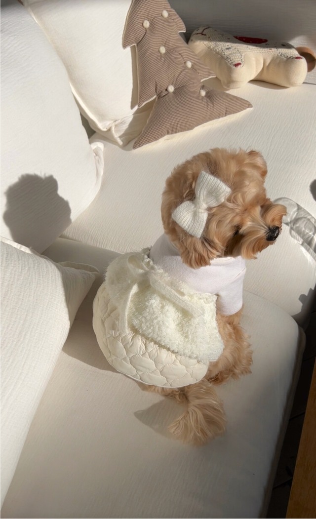 即納【SICGGU】スノードレス