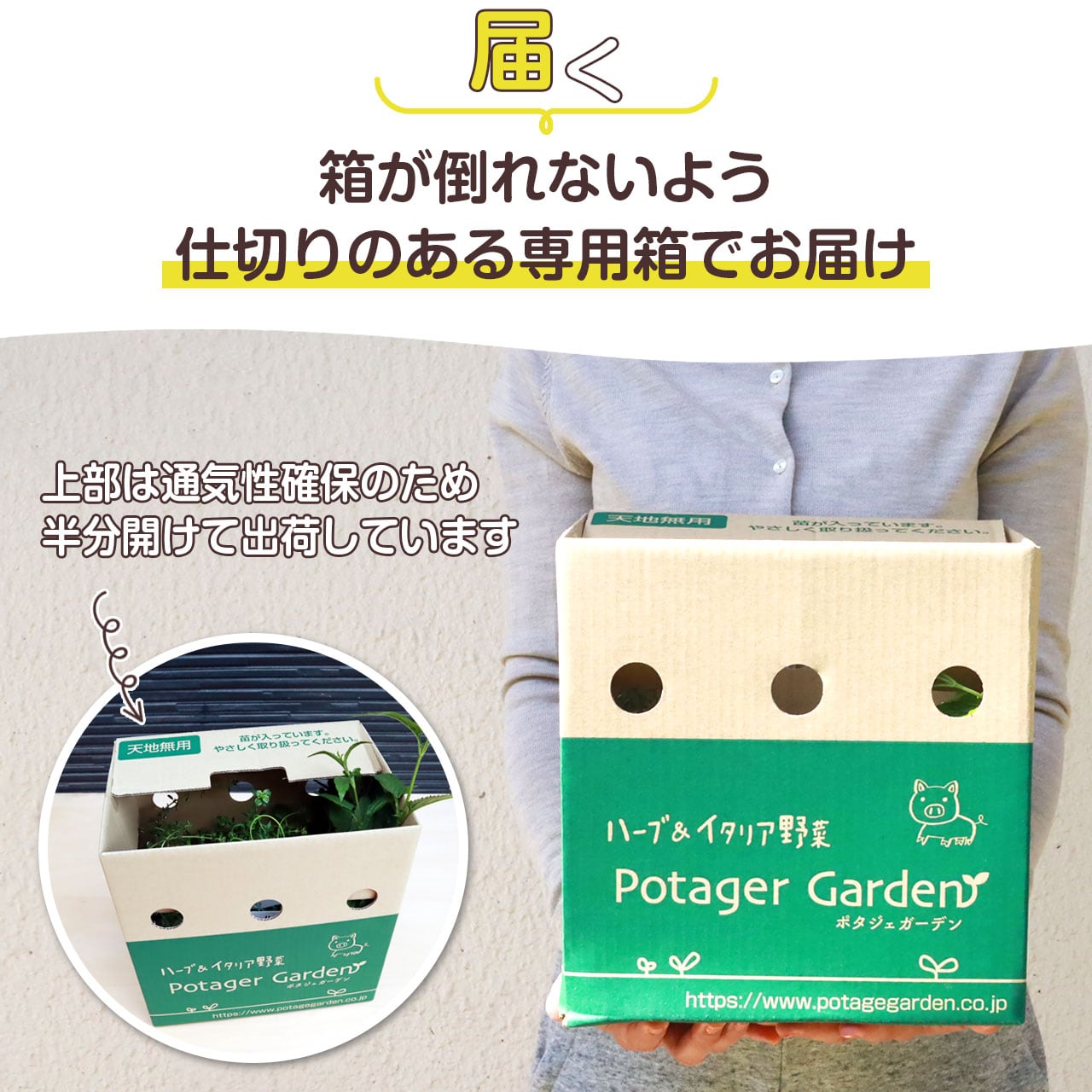 ハーブ苗 3個 お試し | ハーブ苗のポタジェガーデン 本店