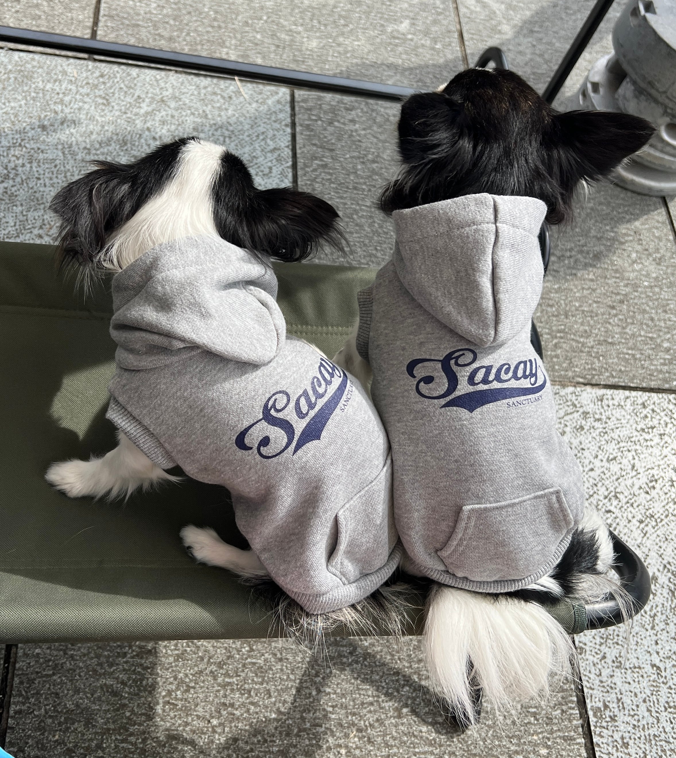 犬服 SS わんこの普段着 いちごにラメドット 犬服 SS わんこの普段着