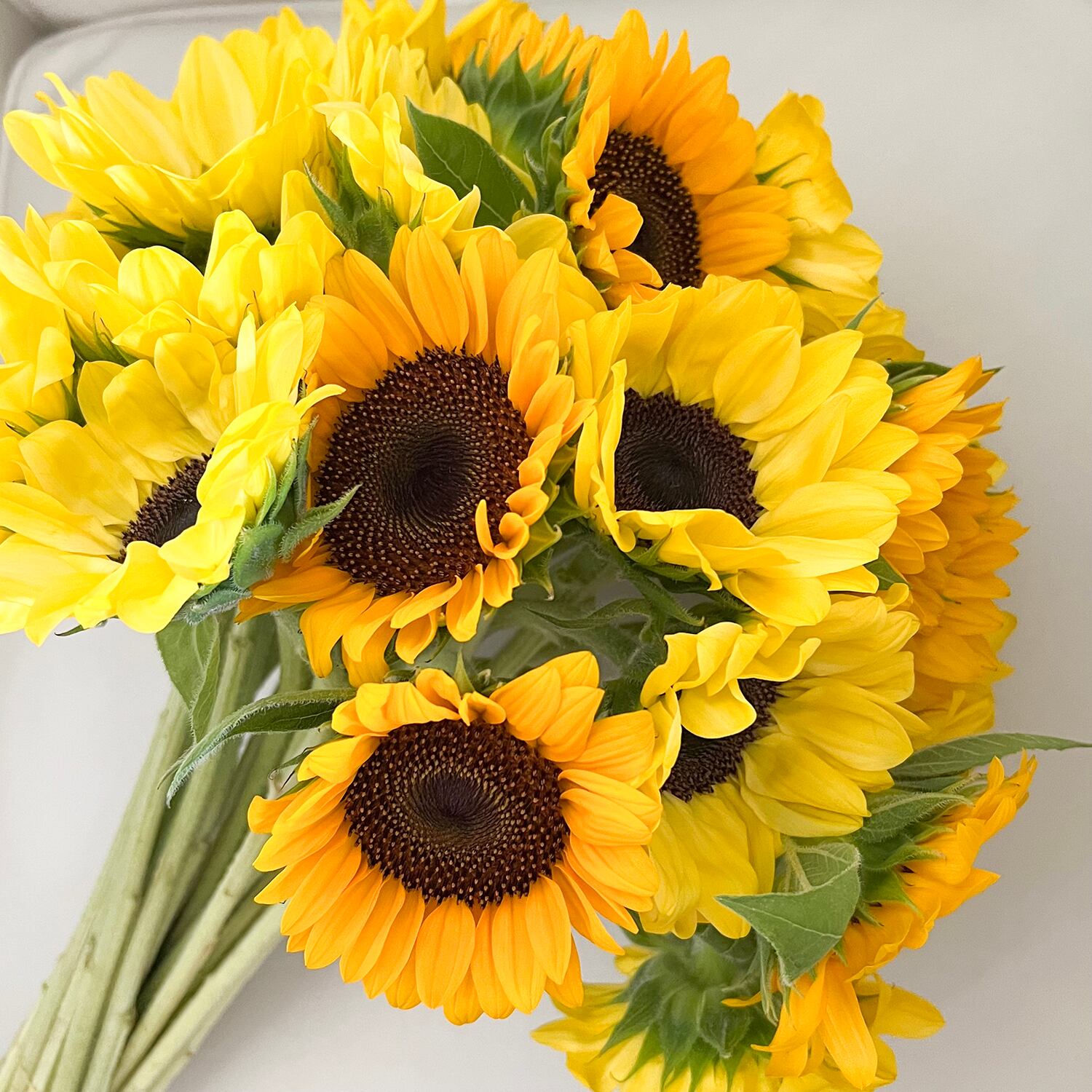 向日葵〈ひまわり〉30本 mix☆フラワーロス削減 | 2020スマイル