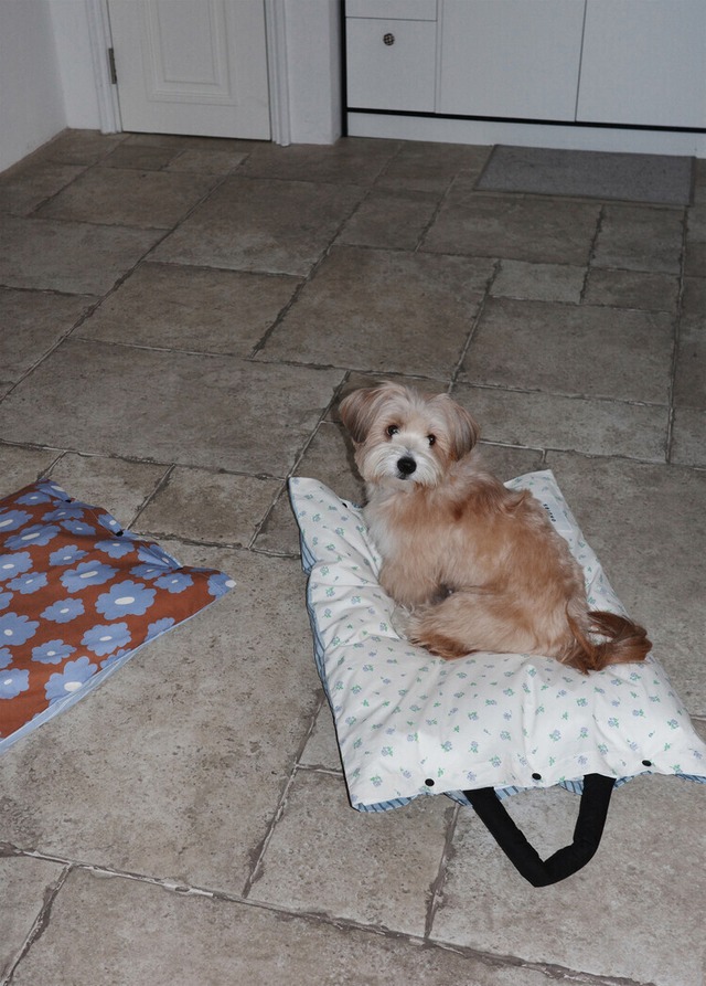 〈予約アイテム〉OHDIBS /Layer Pillow