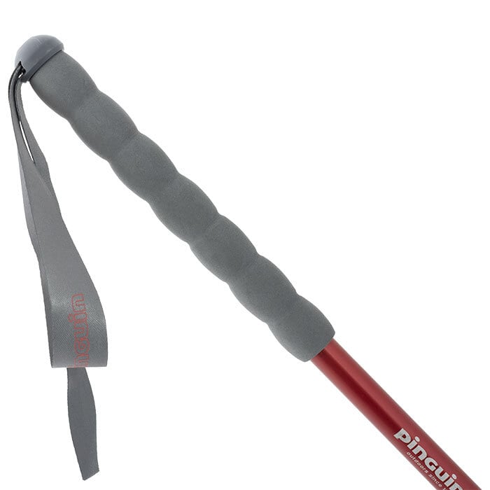 Pinguin ピングイン ／ ファストレイル（ペア） | ELK ONLINE STORE