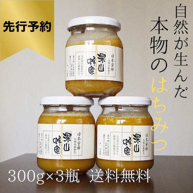 【12月採蜜】自然の中で生まれた生はちみつ3瓶セット | 非加熱 非加工 日本蜜蜂 ハチミツ ニホンミツバチ | 高級品