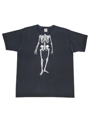 HUMAN SKELETON ANATOMY L