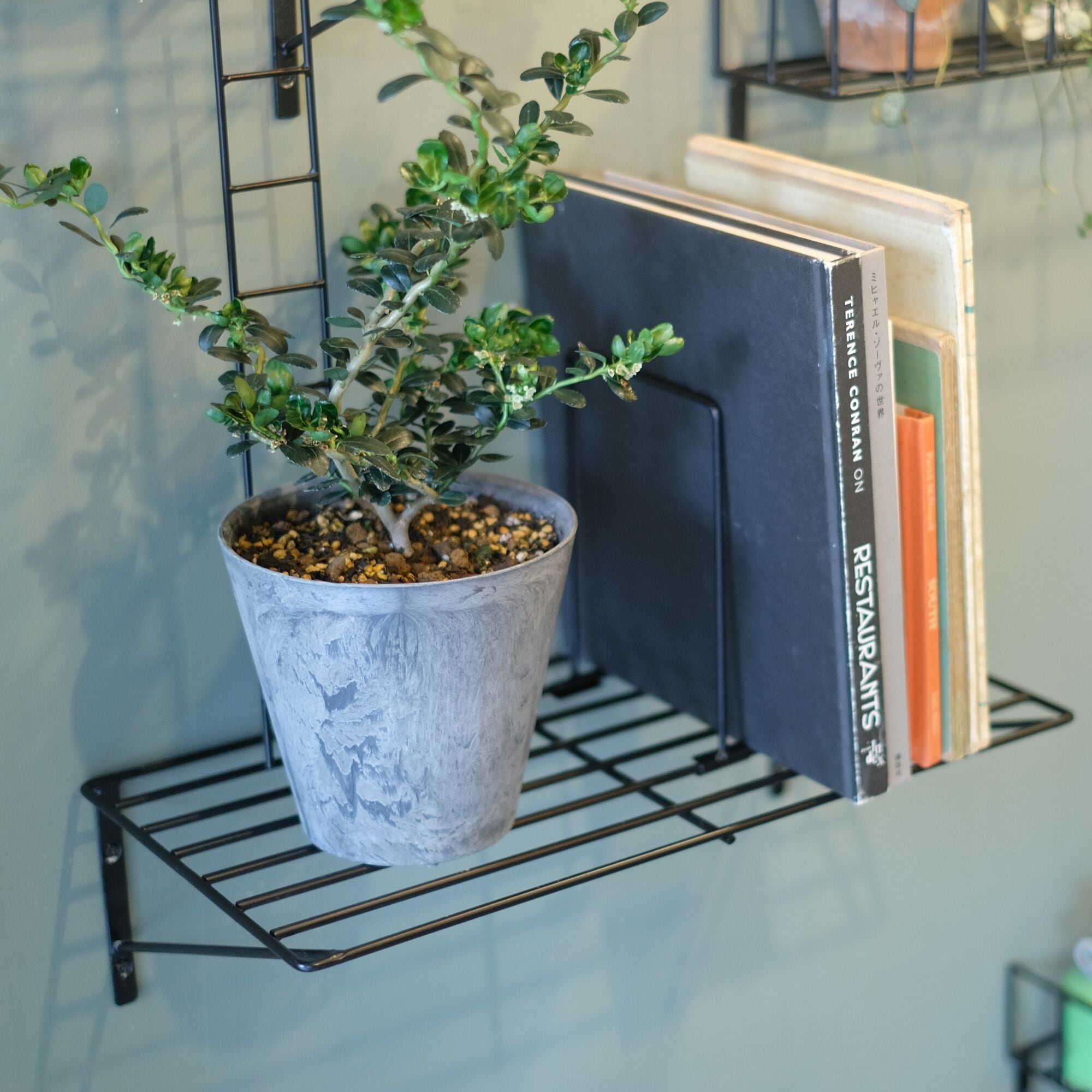 ファイヤーエスケープ FIRE ESCAPE 壁面収納 DIY