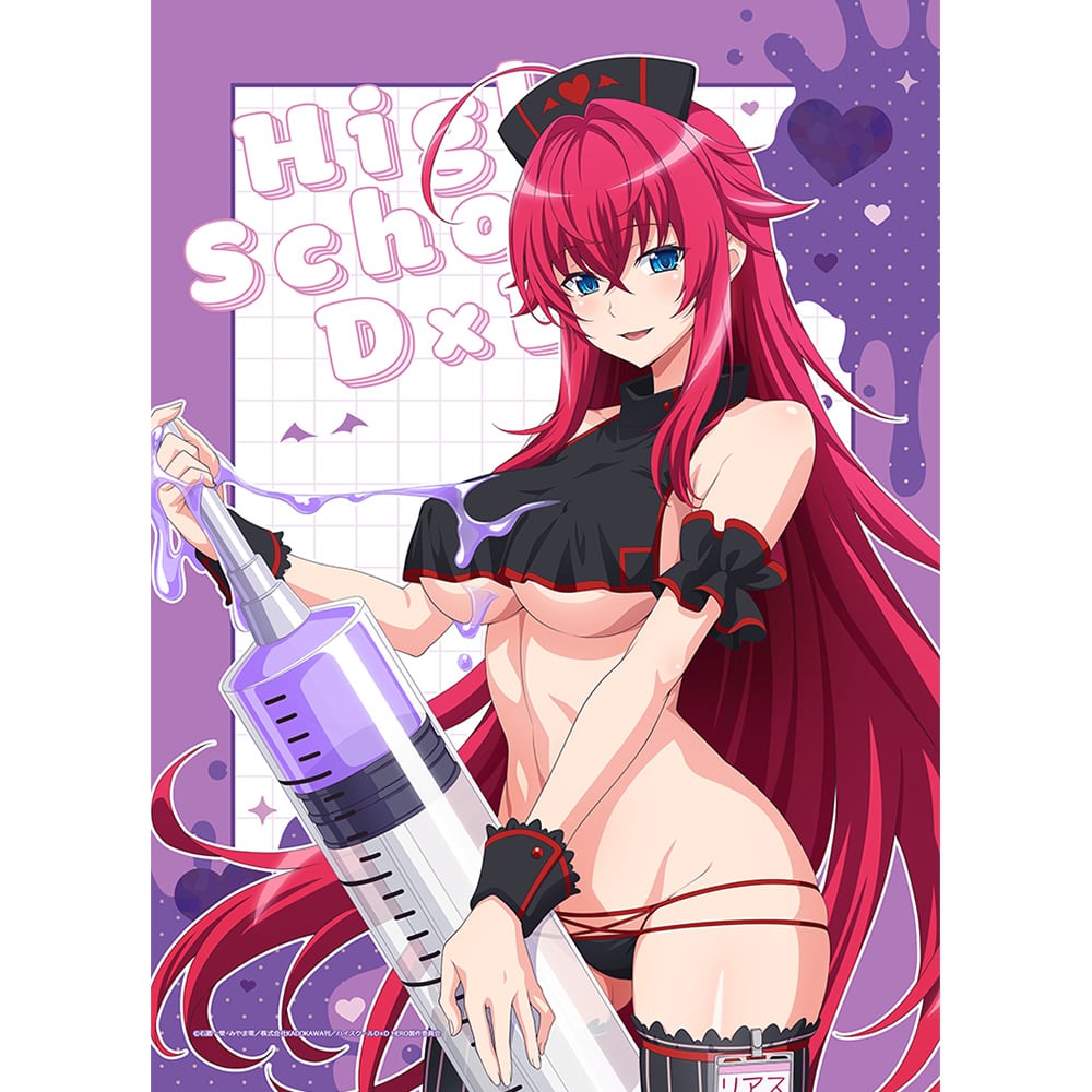 ハイスクールD×D HERO 描き下ろしB2タペストリー(リアス・グレモリー/黒ナース)Wスエード