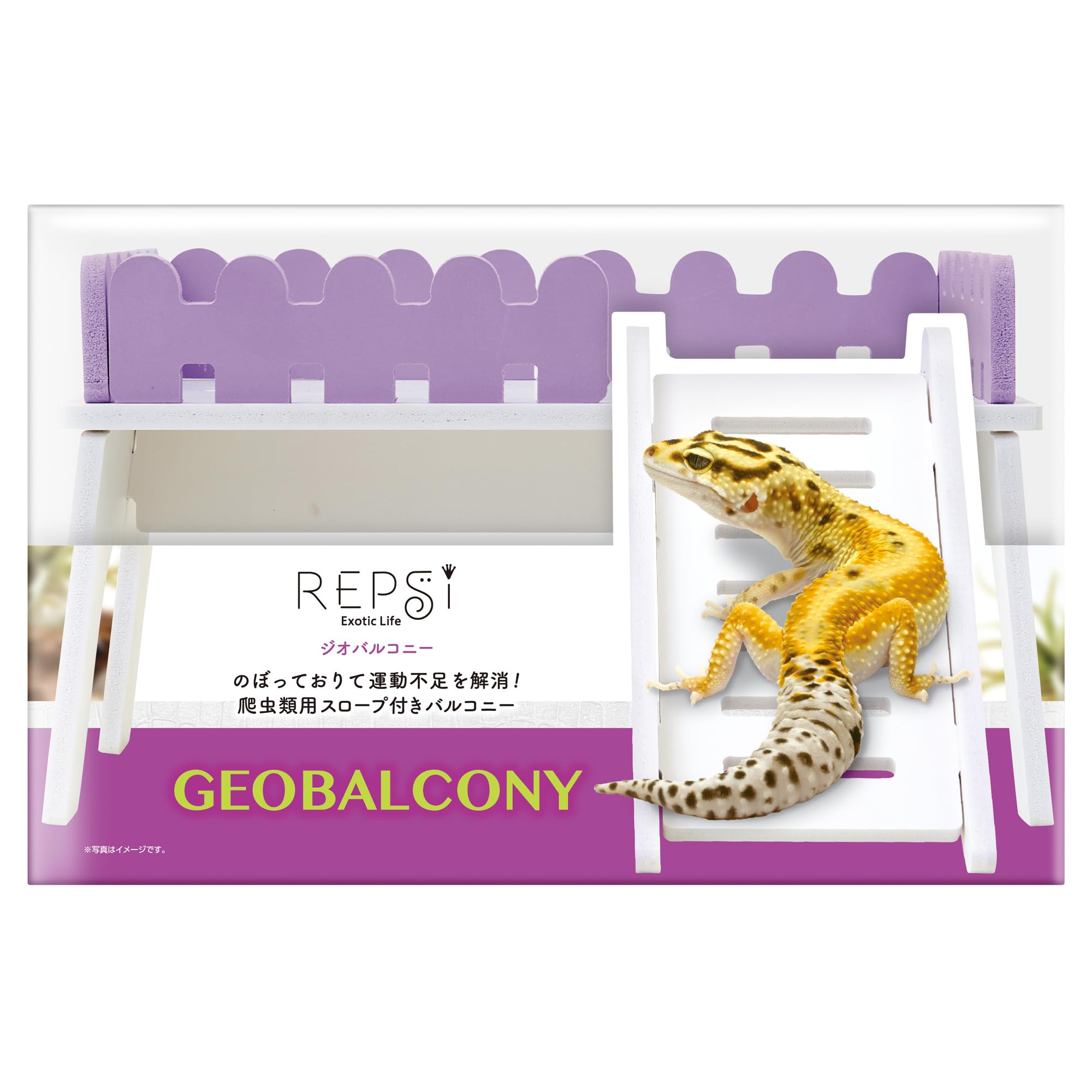 clear2】W200×D300×H200 Small Dinosaur スモールダイナソー アクリル