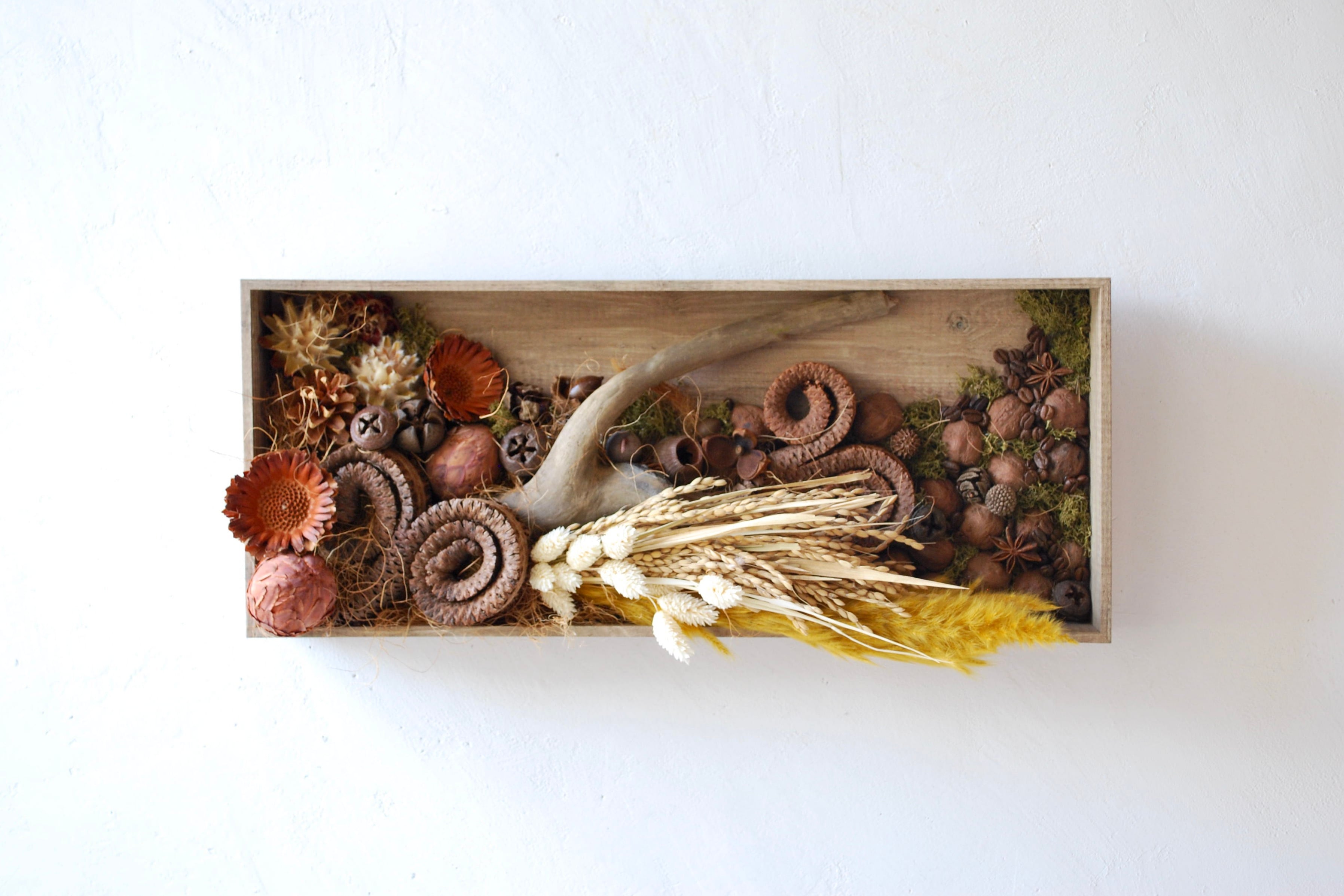 order | 壁面アレンジ |ドライ