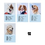 〈PUPPYGALLERY公式〉アイスフィールド カラーブロック パディング　4XL-5XL