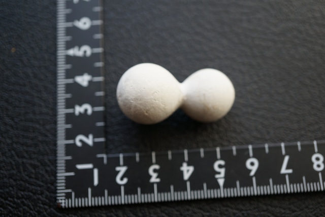 メニライトオパール Menilite Opal 1923