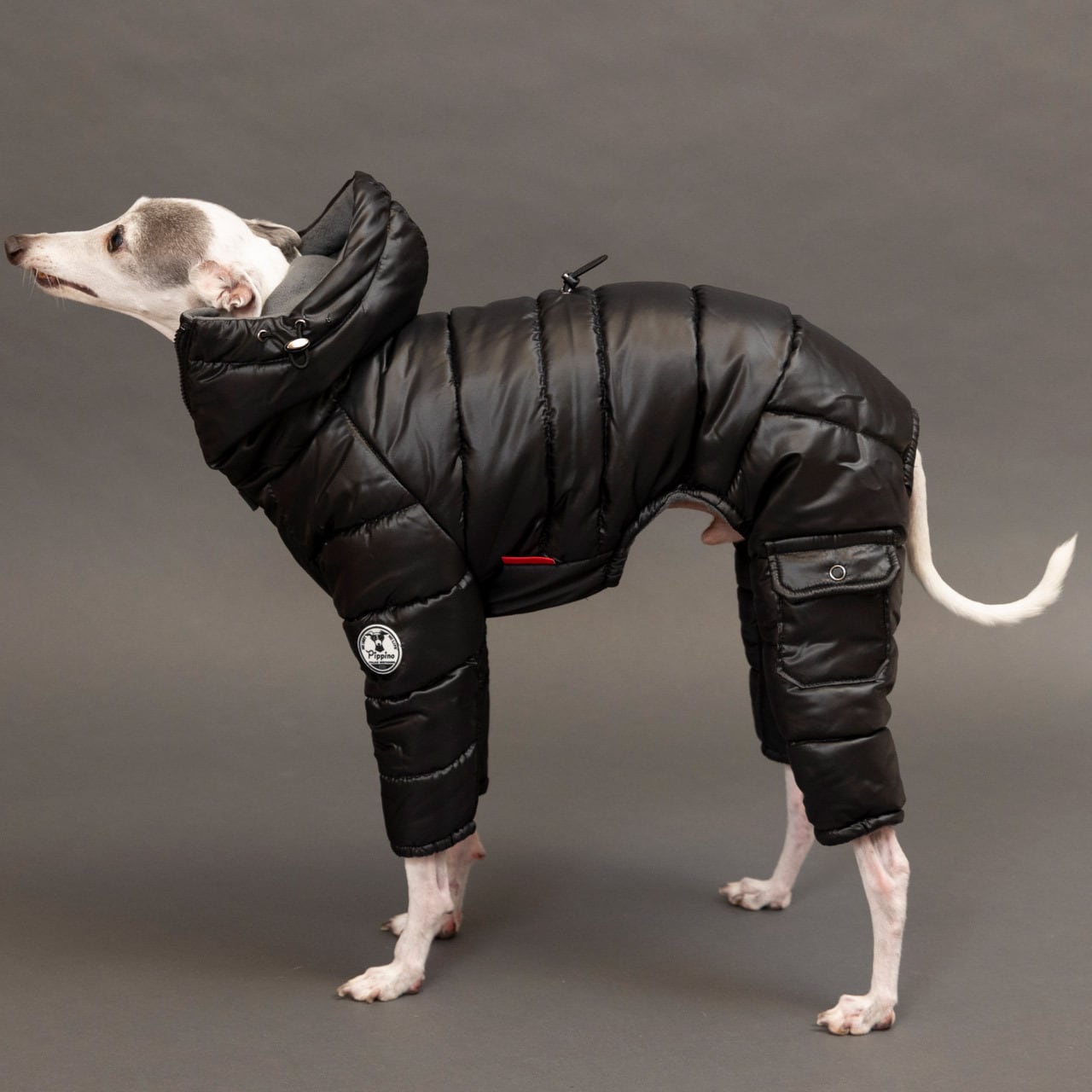 イタグレ スノースーツ 【公式通販】