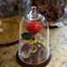 千葉・幕張でお花の注文|幕張の花屋アイテム