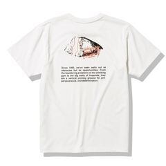 THE NORTH FACE(ノースフェイス) - S/S WALLS MANIFEST TEE(ショートスリーブウォールズマニフェストティー) NT32379