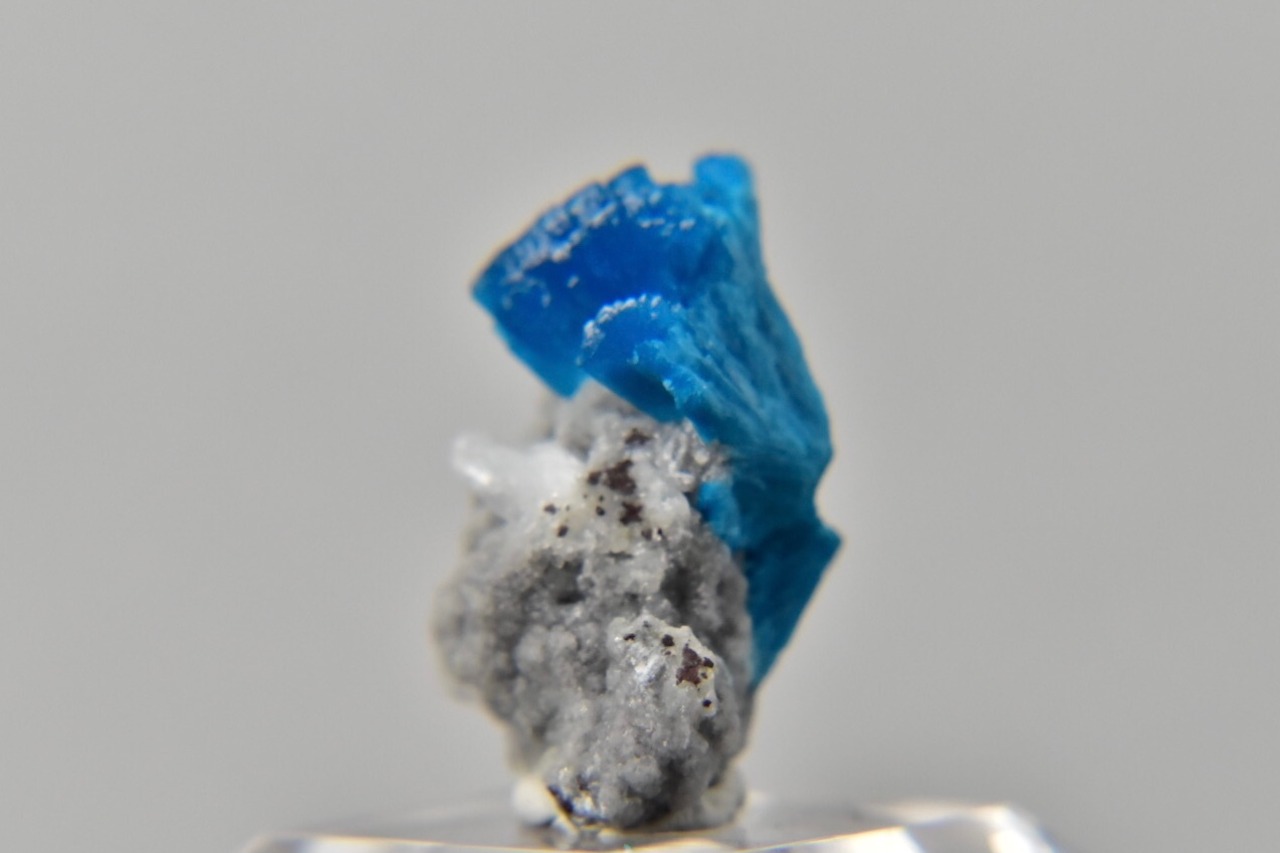 Cavansite with Stillbite