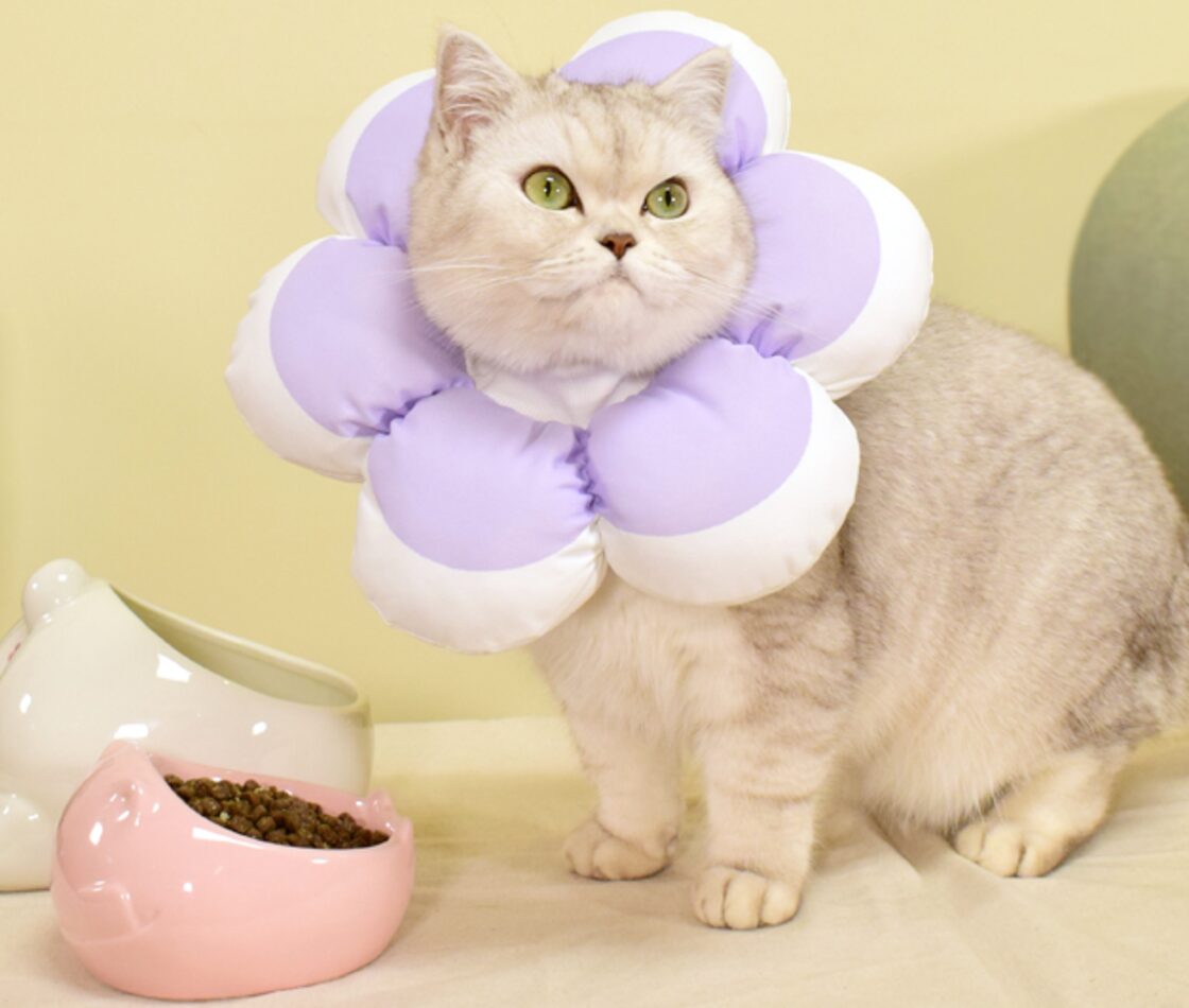 No.3135☘️ 犬猫用 リバーシブル バンダナ Sサイズ いちご ＆ 水玉 No