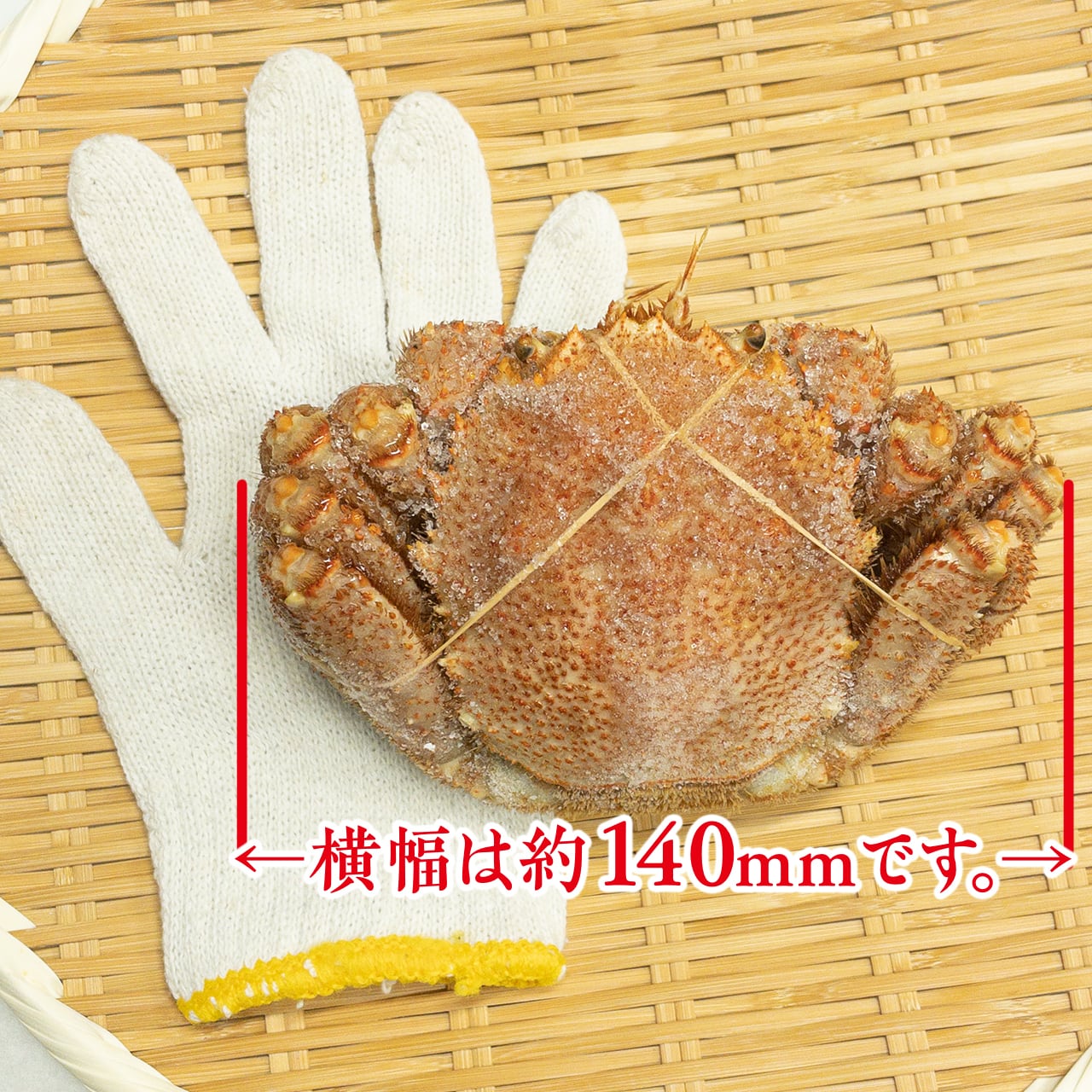 1062)北海道噴火湾産毛蟹（茹で上げ後 400g前後 1杯） | 【公式】羽田