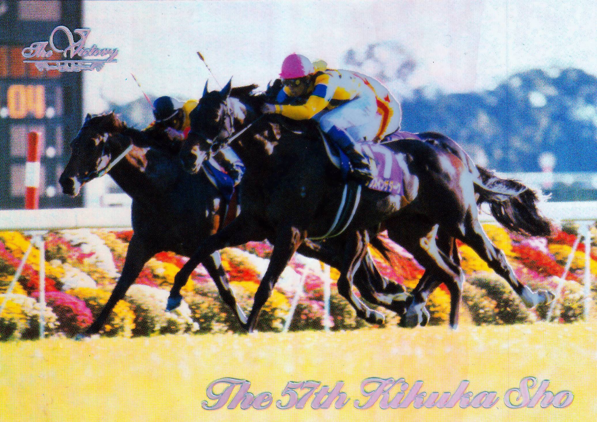 第56回 菊花賞：マヤノトップガン(金文字ノーマル)「The Victory 1999