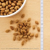 Nutro シュプレモ シニア犬用 超小型犬~小型犬用 6kg ドライフード 小粒 総合栄養食 エイジングケア ドッグフード 犬 大容量 厳選自然素材 香料・着色料 無添加 ニュートロ