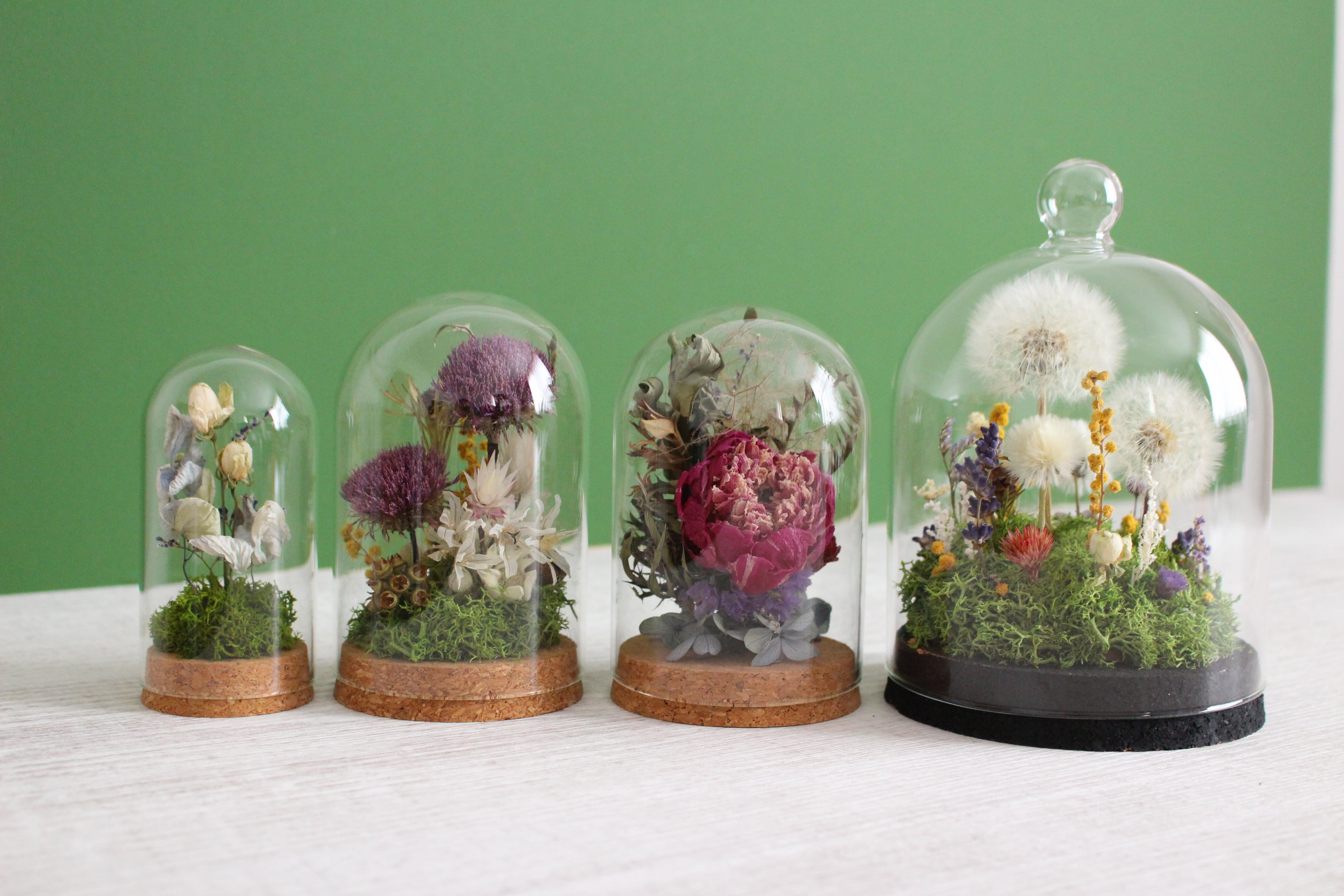 たんぽぽの綿毛 ボトルフラワー てんとう虫 ドライフラワー