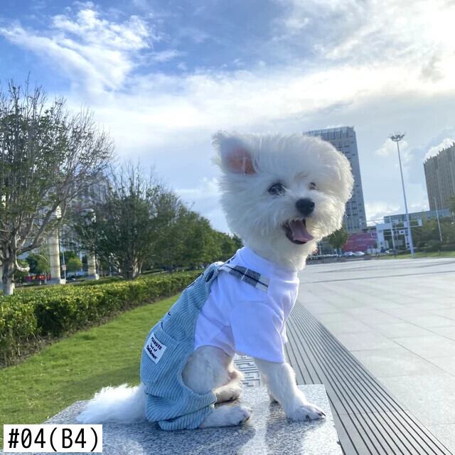 犬服 ストライプ柄 レース襟 クラシック 男の子用 犬服 襟付き