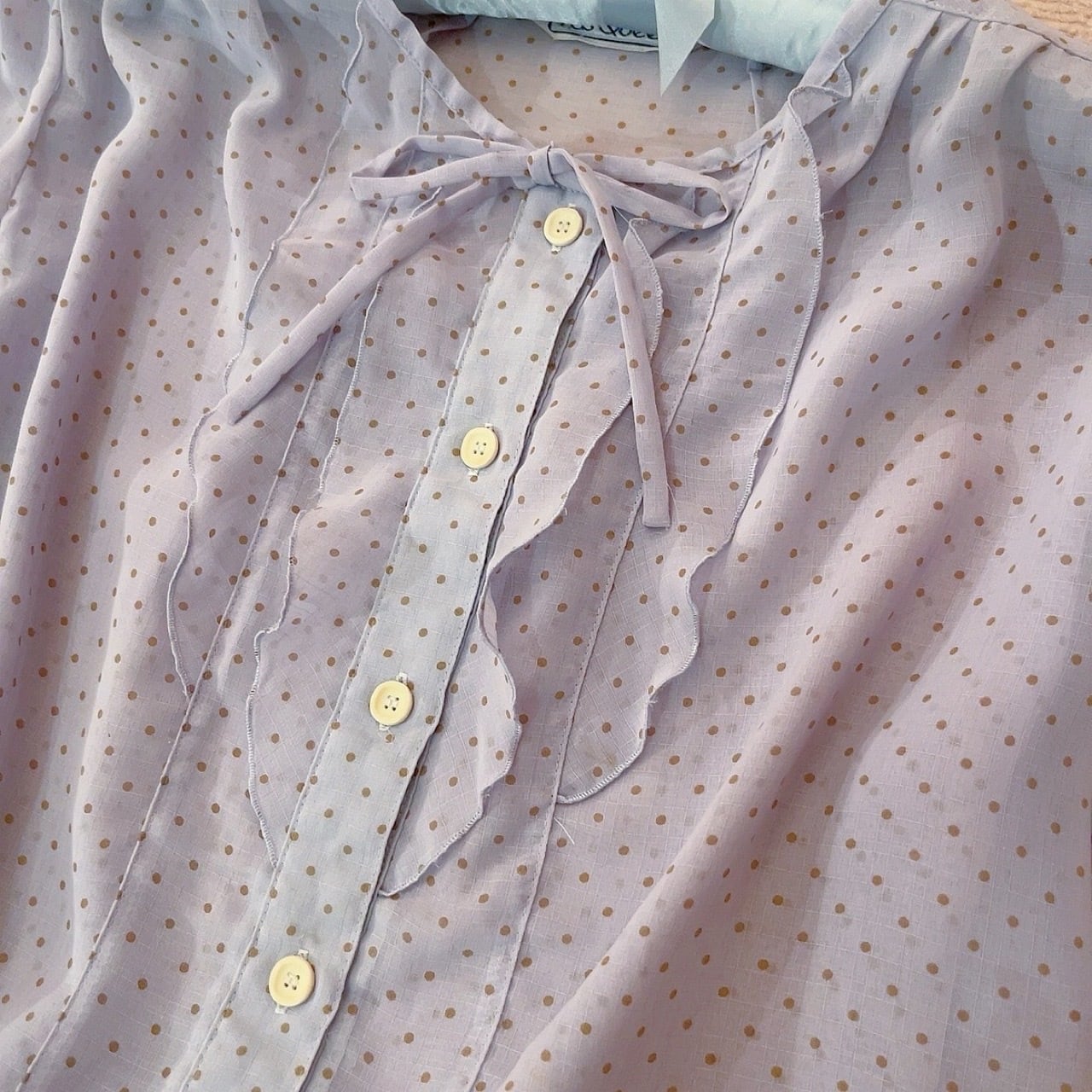 light blue dot sheer blouse
