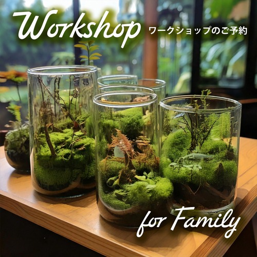 苔テラリウムリウム ※ 苔の森に棲む妖精の世界 11月11日(火)
