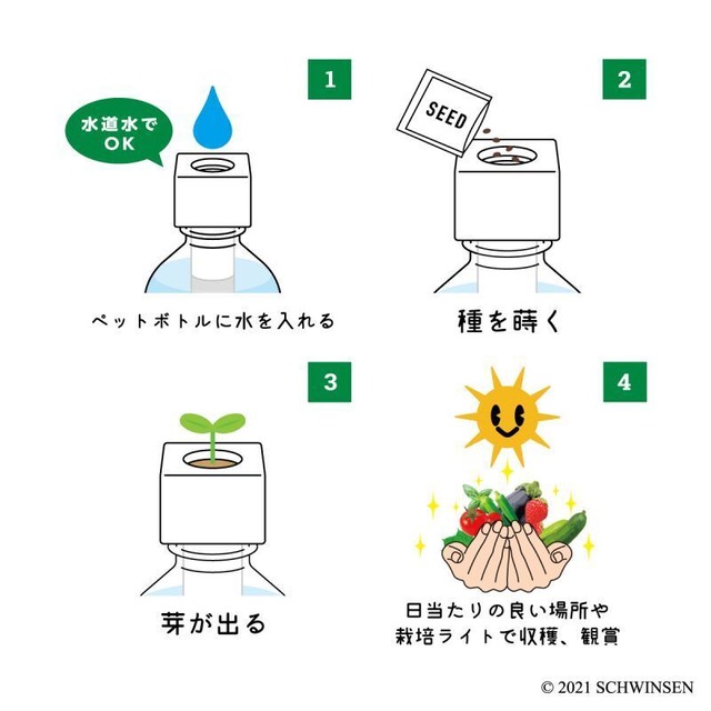 グリーントイ　ダイヤモンドチェック（プチトマトのたね付き）