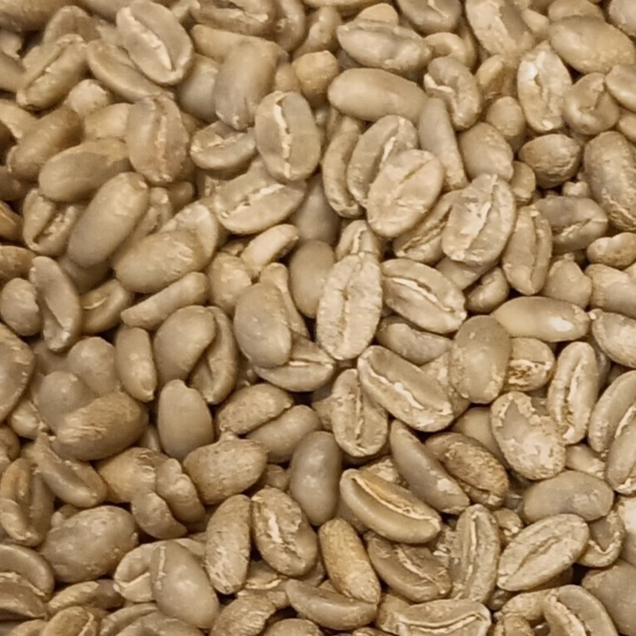 089 パプアニューギニア/コルブラン農園 ゲイシャ 100g