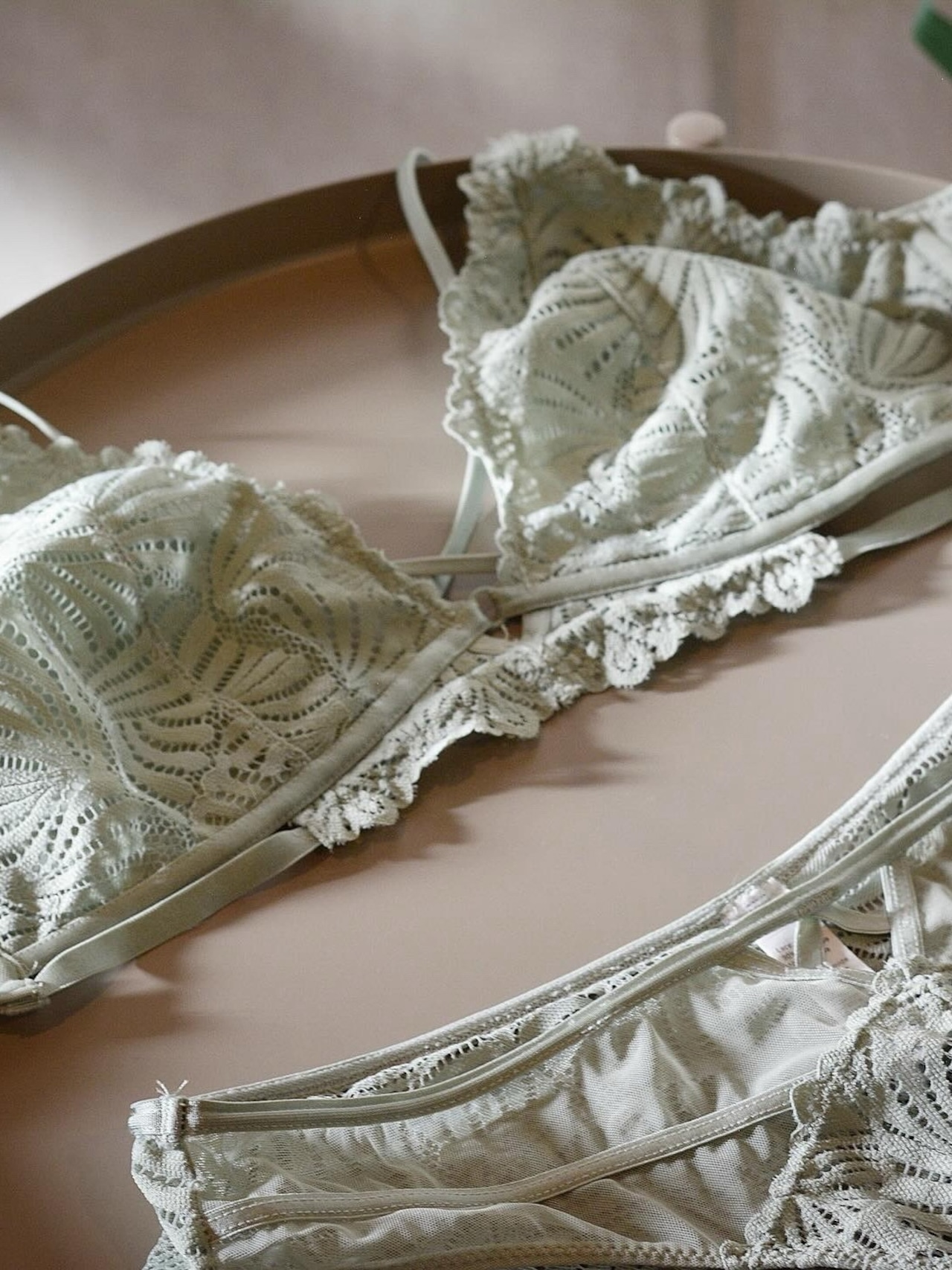 トライアルBOX F