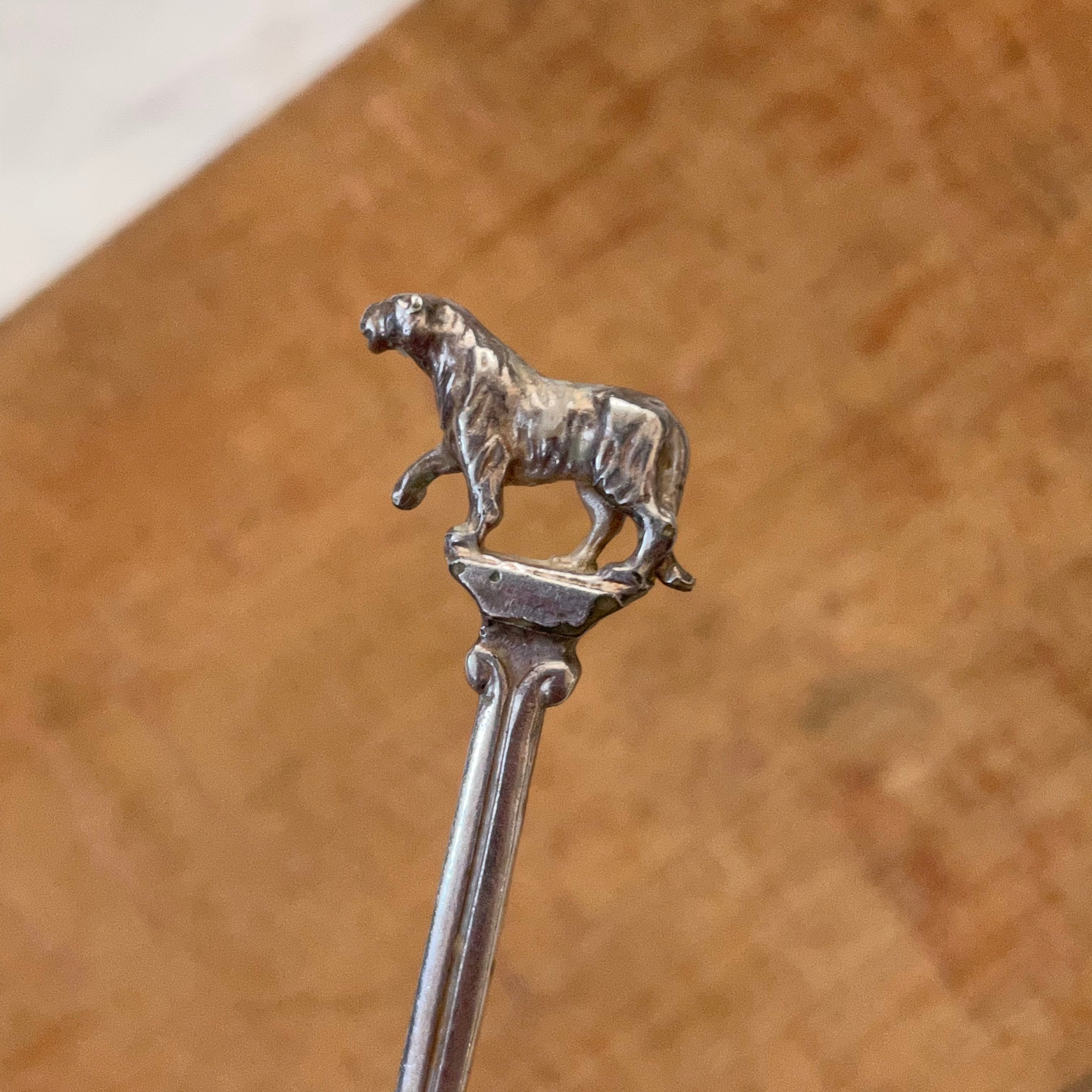 生き物のティースプーン