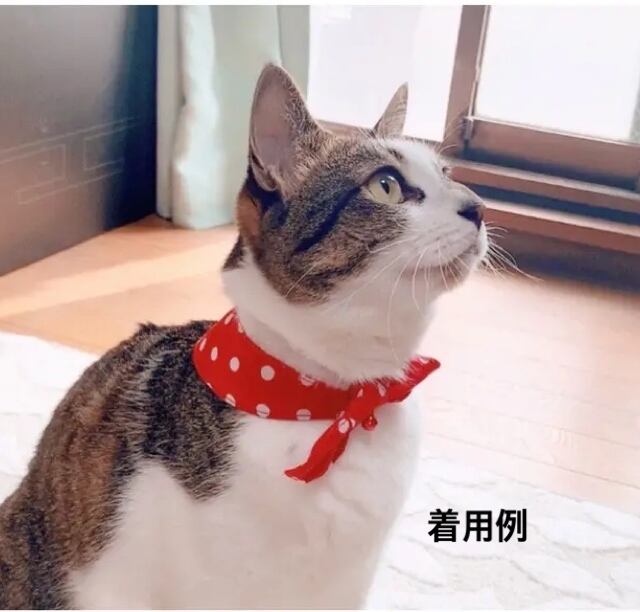 猫用鈴付きリボンバンダナ首輪(バンダナ)  ハンドメイドのルアナ
