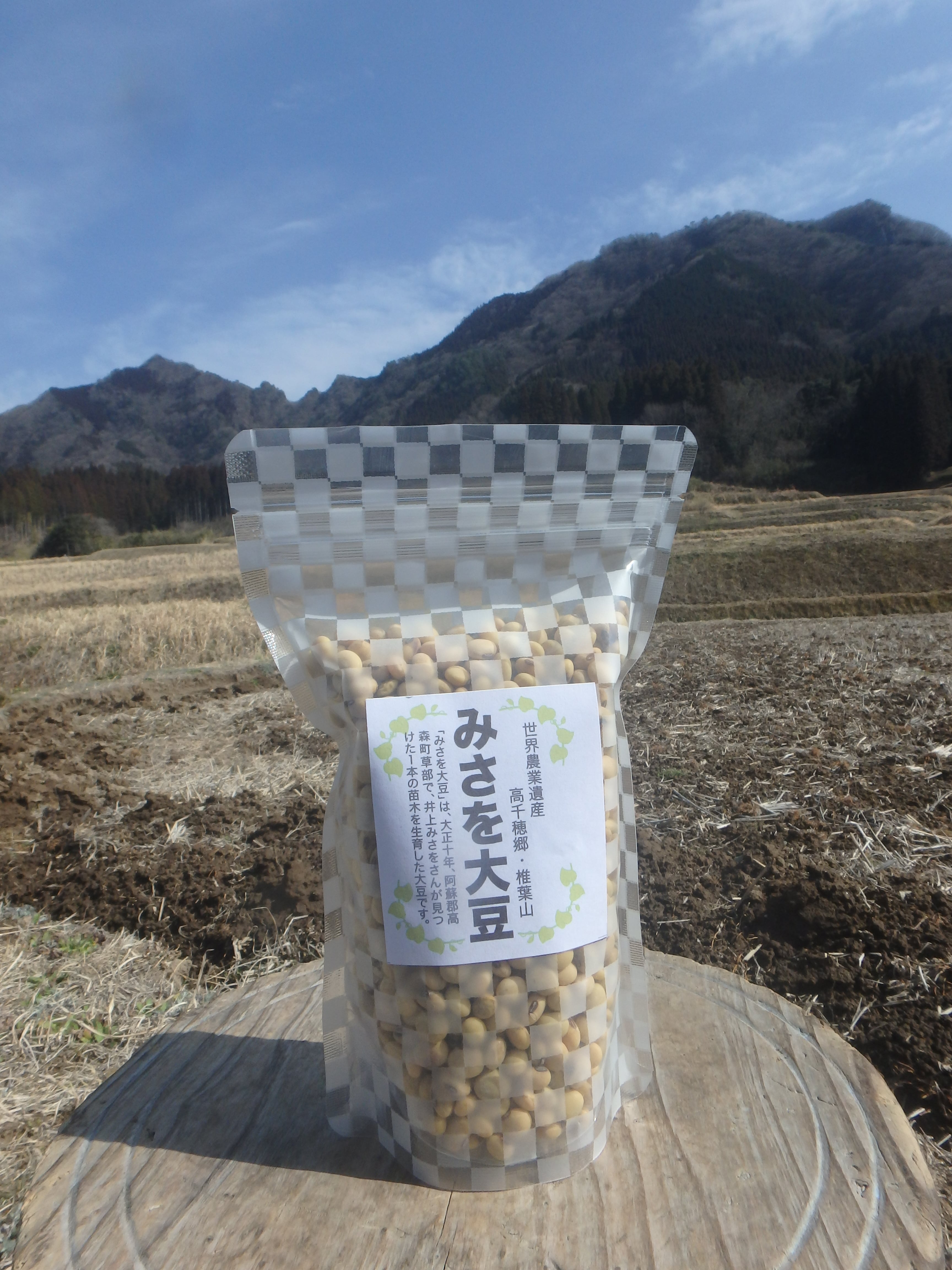 令和5年 九州阿蘇産 幻の地大豆「みさを大豆」5kg 自然栽培 令和5年 九州阿蘇産 幻の地大豆「みさを大豆」5kg 自然栽培