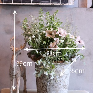 寄せ植え　ペチュニアロイヤルミルクティの寄せ植え｜届いてすぐ飾れる完成品｜玄関にオススメ｜新築・開店祝いギフト｜モンディマンシェ