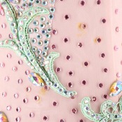 社交ダンス 衣装 白樺ドレス スタンダードドレス ワンピース ドレス スタンダード フロート レース デモ 競技 ダンス パーティ 発表会 明るい 綺麗 グリーン系 女性用 発表会用ドレス おしゃれ フェミニン 競技用衣装 レディース