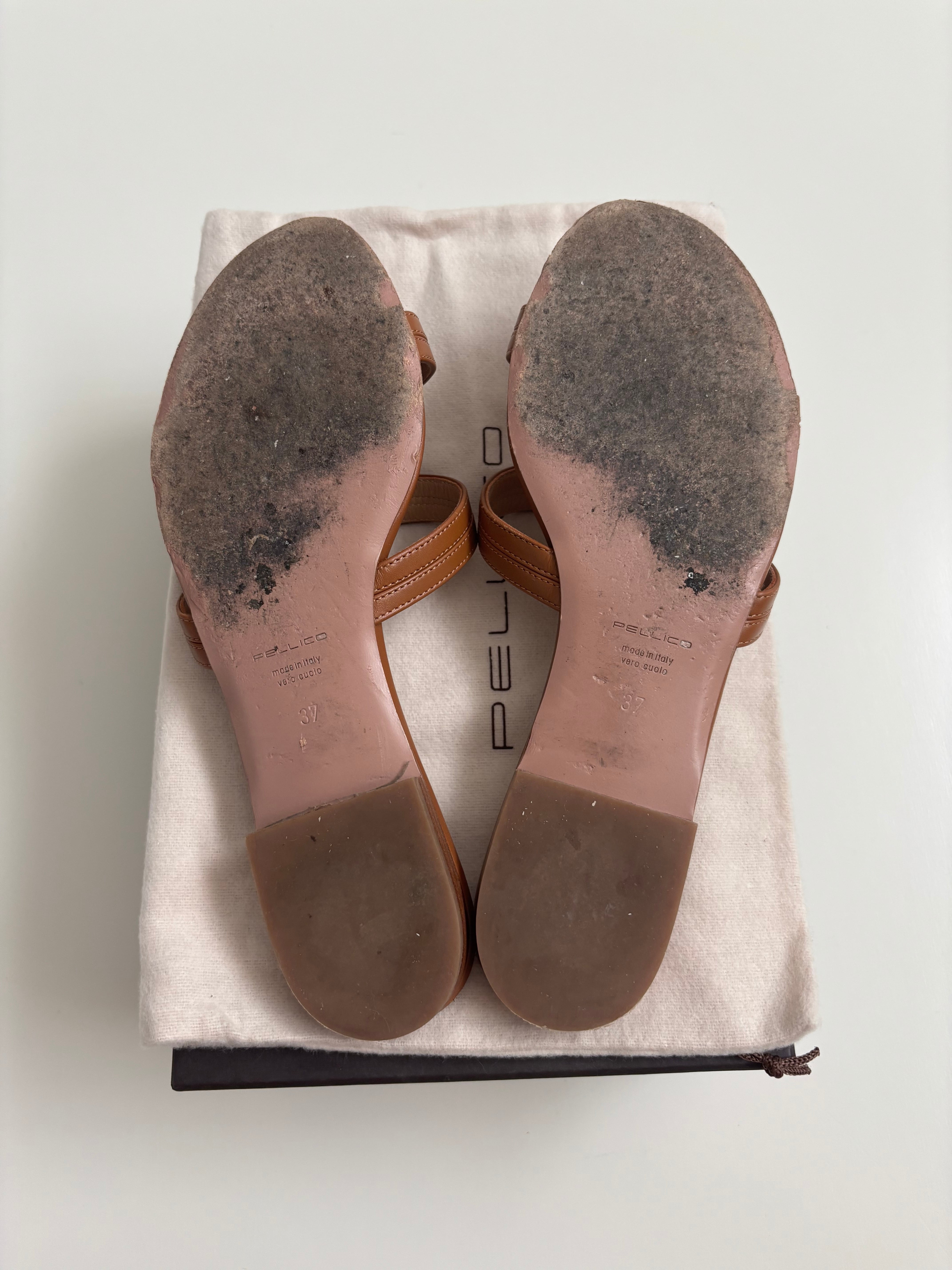 PELLICO / ペリーコ SAMI カナーレ サンダル 1.0CM CLAY | LIFNE（リフネ）