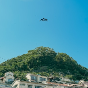 【10/14発売】miyama『美山』