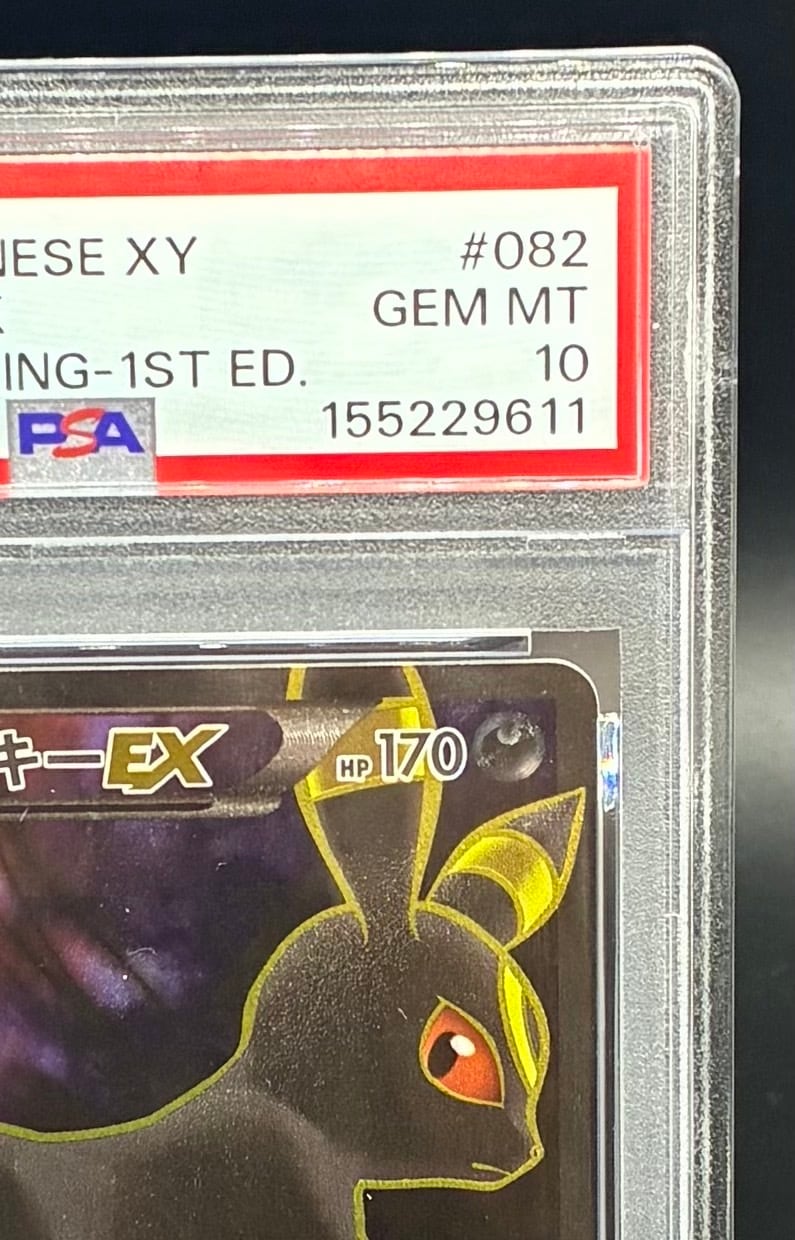 川崎店: ブラッキーEX【SR】{082/078} [XY] | ワンピース・ポケモン