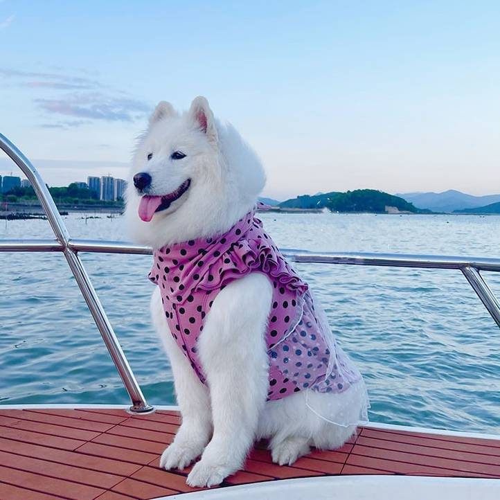 涼しげメッシュスカートの水玉ドレス