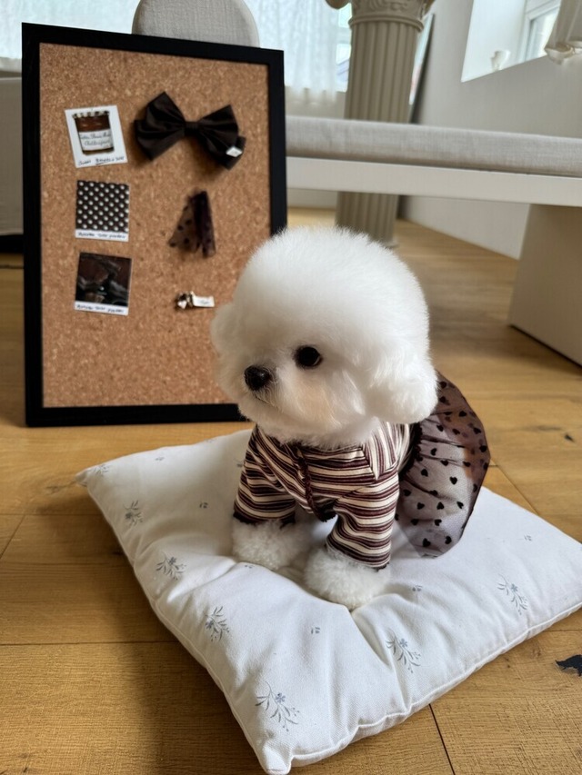 〈即納アイテム〉SICGGU/ ハートブラウニーカーディガンドレス