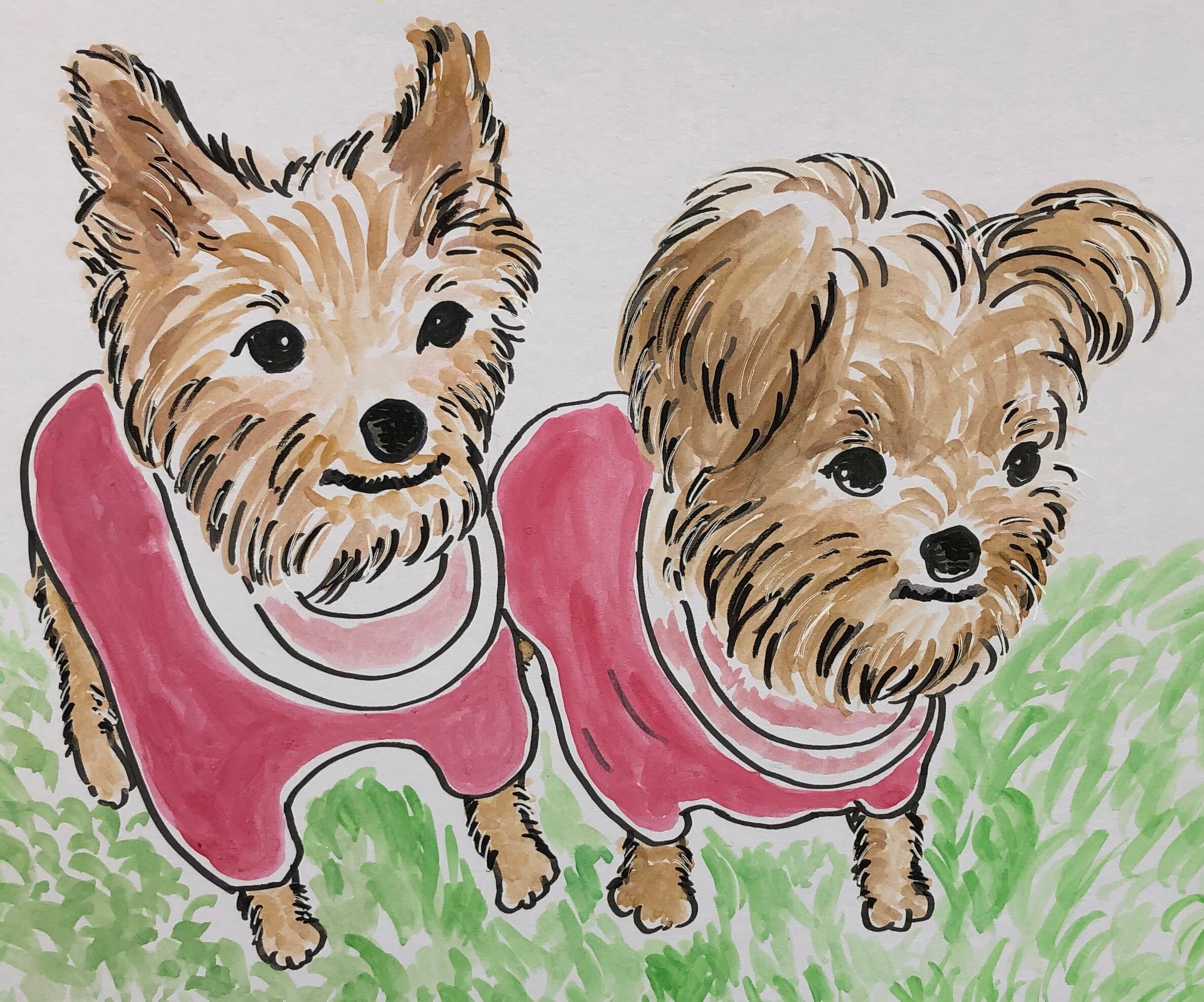 ペット似顔絵オーダー(2匹) | だいぶつや daibutsu2.0