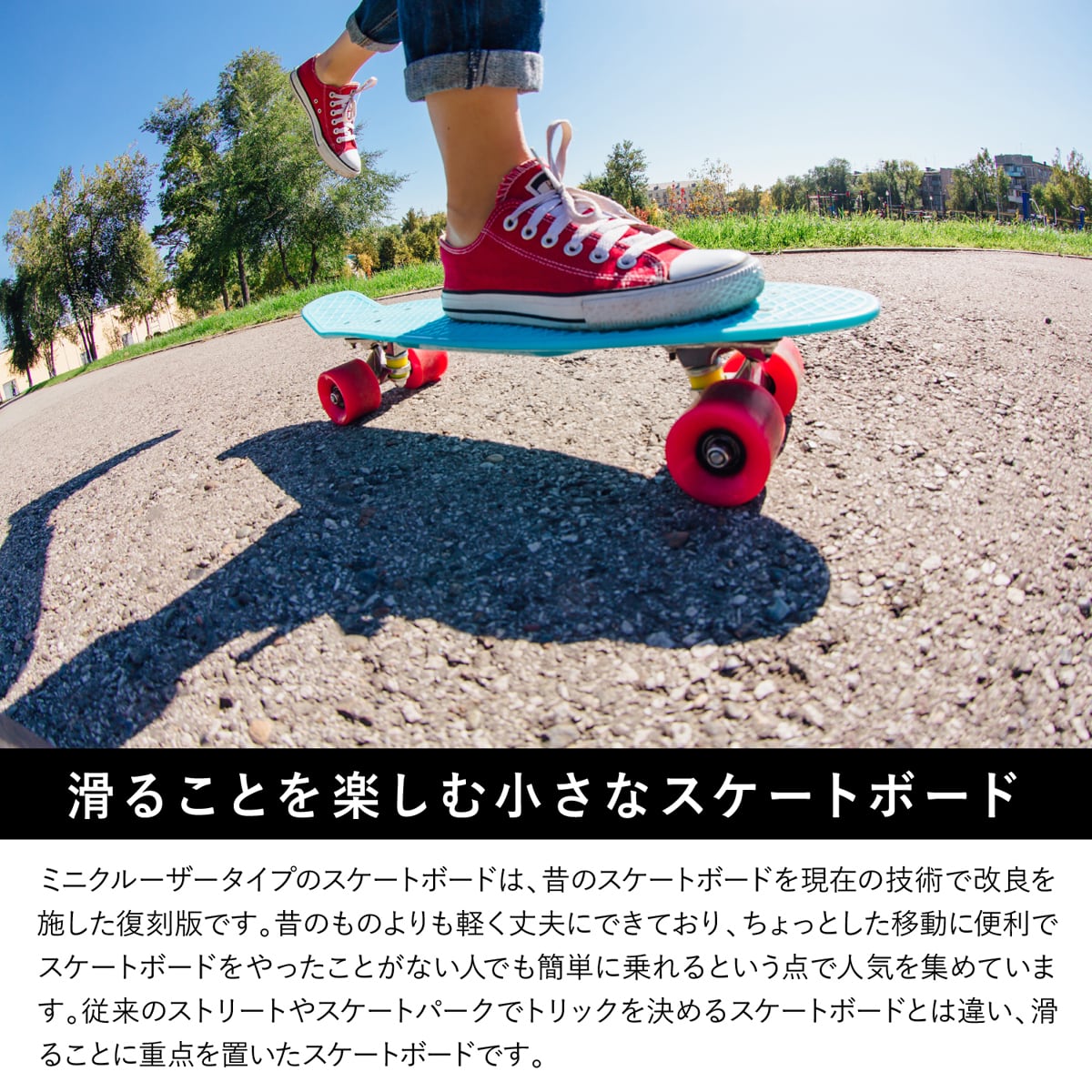 ミニクルーザー ペニータイプスケートボード | MRG JAPAN Direct powered by BASE