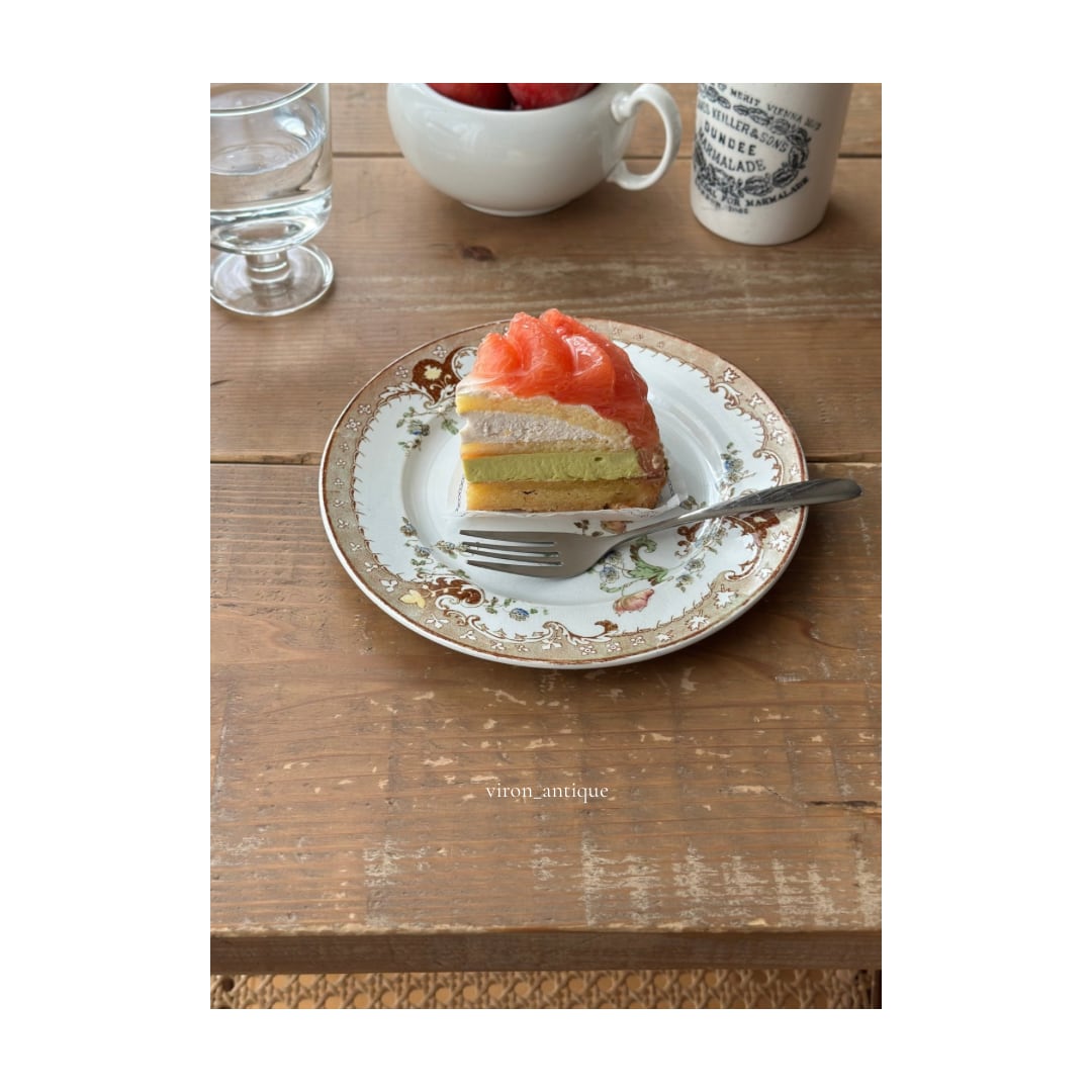 Creil et Montereau クレイユモントロー / “ALEXANDRA” 色付けされた花柄 平皿プレート a