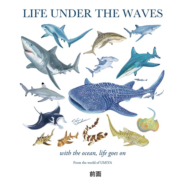 海の生きもの半袖Tシャツ（サメ・エイ）｜LIFE UNDER THE WAVES Model-05