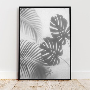 ヤシとモンステラの葉のシャドウ / モノトーン調 ポスター 写真 ミニマル 植物 パーム 影