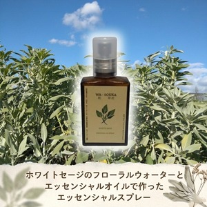 ホワイトセージ栽培家が作った国産ホワイトセージエッセンシャルスプレー30ml 自家栽培/自家蒸留/浄化/ヒーリング/スマッジング/精油/オイル/アロマ