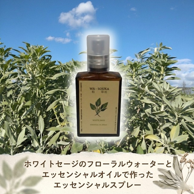ホワイトセージ栽培家が作った国産ホワイトセージエッセンシャルスプレー30ml 自家栽培/自家蒸留/浄化/ヒーリング/スマッジング/精油/オイル/アロマ