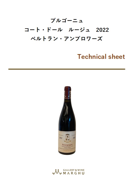 ブルゴーニュ コート・ドール ルージュ 2022 ベルトラン