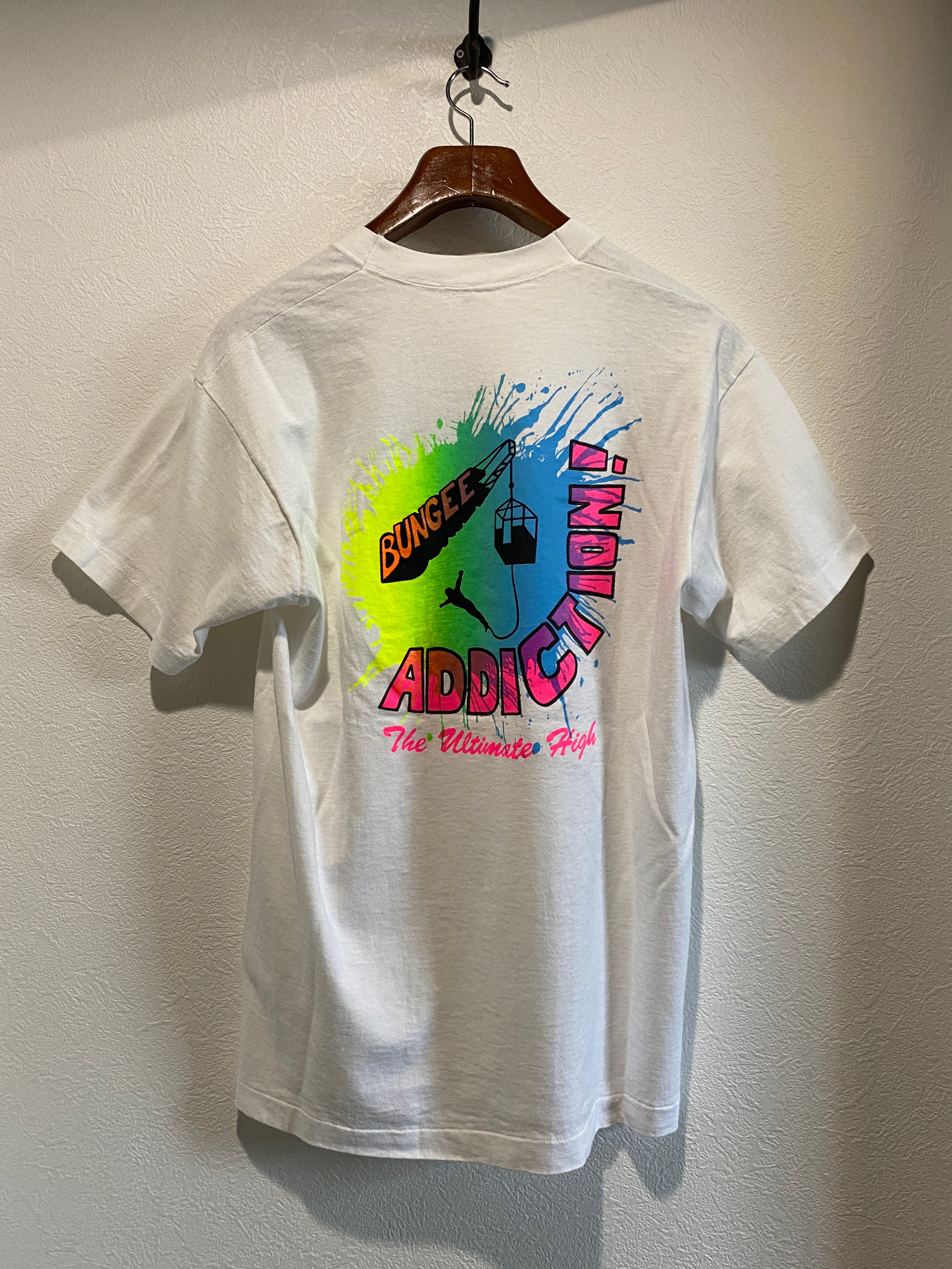 00年代 フルーツオブザルーム FRUIT OF THE LOOM LYNYRD SKYNYRD レナードスキナード 両面プリント バンドTシャツ バンT メンズL /eaa350683