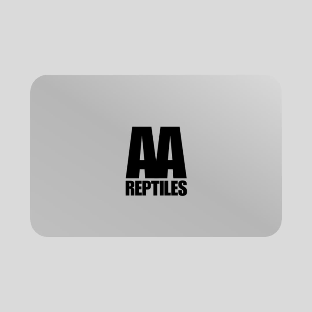 シーズナルクッキー缶【サクラ】